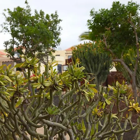 Appartement Apartamento Lomas